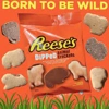 Reese's Dipped Animal Crackers - 120g Bag
