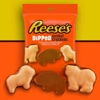 Reese's Dipped Animal Crackers - 120g Bag