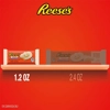 Reese's - White Pumpkins Creme and Peanut Butter Candy -68g King Size