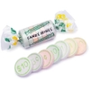 Smarties Candy Money Mini Roll Packs - Dollars and Cents Monies