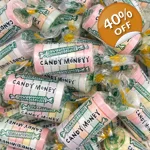 Smarties Candy Money Mini Roll Packs - Dollars and Cents Monies