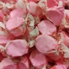 Taffy Town Cherry Salt Water Taffy - Soft Chewy Candy Sweets