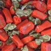 Sugar Free Rum & Butter Toffees - Thornes Wrapped Toffee Sweets