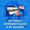 Trident Gum Perfect Peppermint - Sugar Free Chewing-Gum 14 Sticks Pack