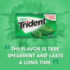 Trident Gum Spearmint - Sugar Free Mint Chewing-Gum 14 Sticks Pack