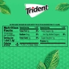 Trident Gum Spearmint - Sugar Free Mint Chewing-Gum 14 Sticks Pack