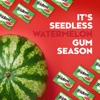 Trident Gum Watermelon Twist - Sugar Free Chewing-Gum 14 Sticks Pack