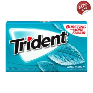 Trident Gum Wintergreen - Sugar Free Chewing-Gum 14 Sticks Wallet Pack