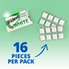 Trident White Sugar Free Chewing Gum Spearmint 16-Piece Blister Pack