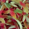 Vidal Snakes - Gluten Free Gummy Sweets