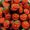 Vidal Pumpkins - Fruity Jelly Halloween Pumpkin Sweets