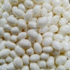 Zed Candy COCONUT Flavour Jelly Beans - White Candy Sweets