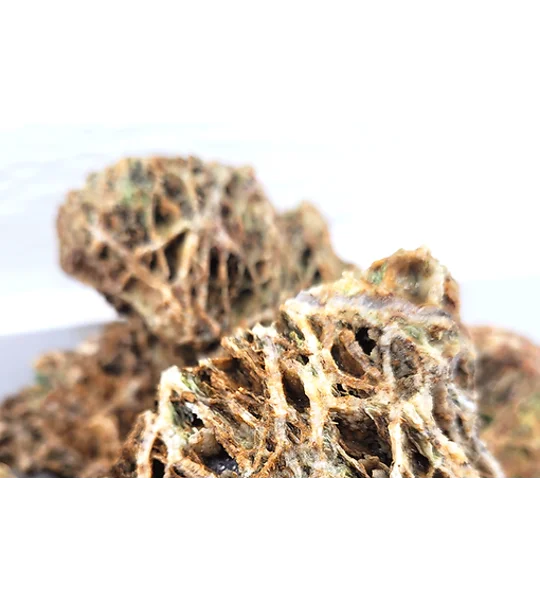Wio Web Nano Rock size s 2kg