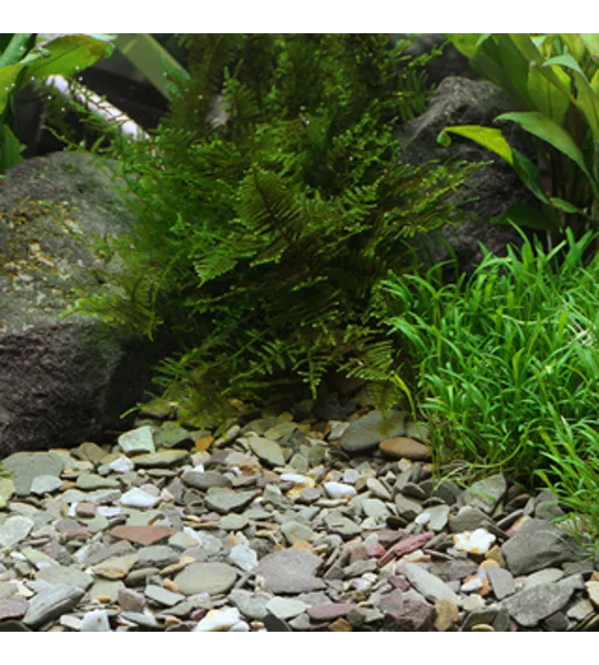 Dennerle Natural Gravel Rio Xingu 2-22mm 500g