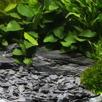 Dennerle Natural Gravel Kongo 10-30mm 500g