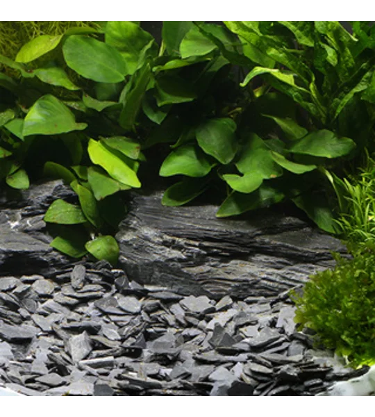 Dennerle Natural Gravel Kongo 10-30mm 500g