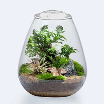 Bio Bowl + Light White 200 Bio Bowl + Light White 200