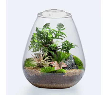 Bio Bowl + Light White 200