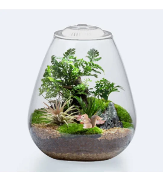 Bio Bowl + Light White 200