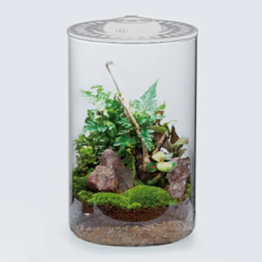 Cylinder Bio Bowl + Light White 200
