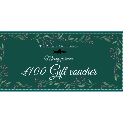 £100 CHRISTMAS INSTORE GIFT VOUCHER