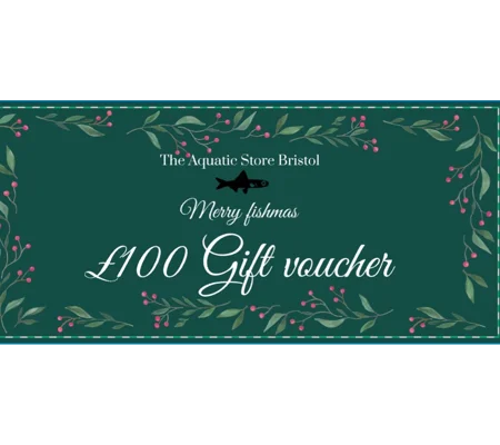 £100 CHRISTMAS INSTORE GIFT VOUCHER