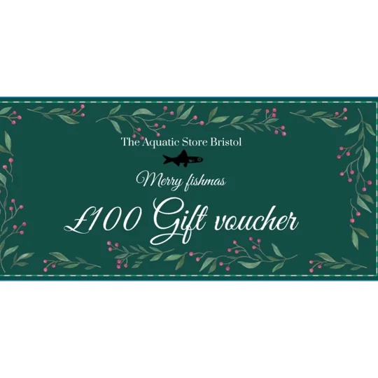 £100 CHRISTMAS INSTORE GIFT VOUCHER