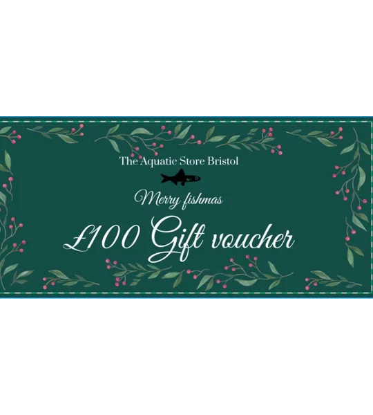 £100 CHRISTMAS INSTORE GIFT VOUCHER