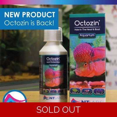 NT Labs Octozin 250ml