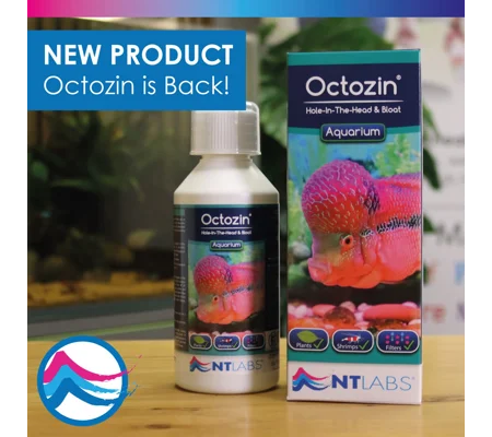 NT Labs Octozin 250ml