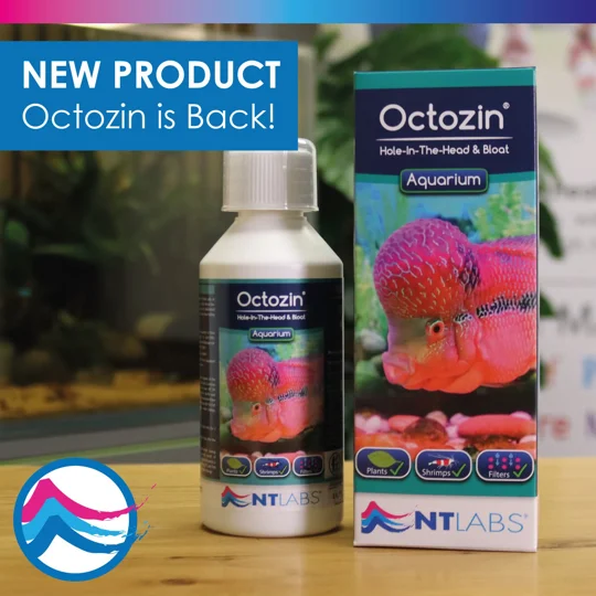 NT Labs Octozin 250ml
