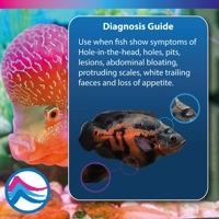 NT Labs Octozin 250ml