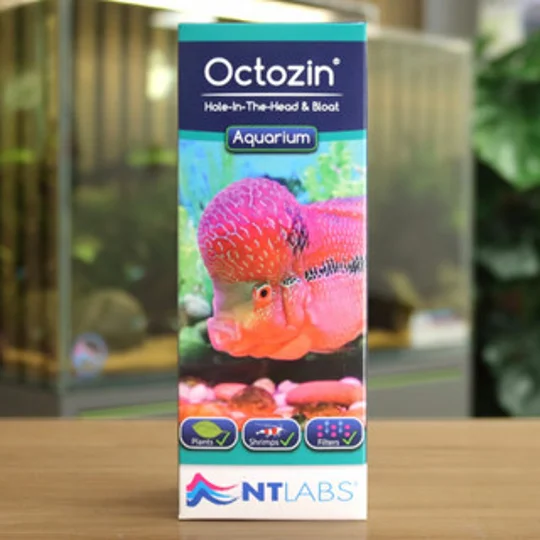 NT Labs Octozin 250ml