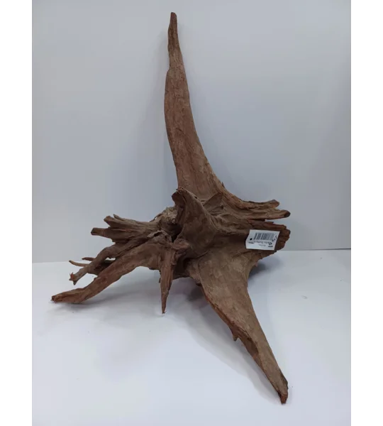 Corbo stump aquarium wood A10