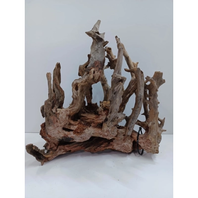 Tortured Forest Scape A11