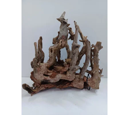 Tortured Forest Scape A11