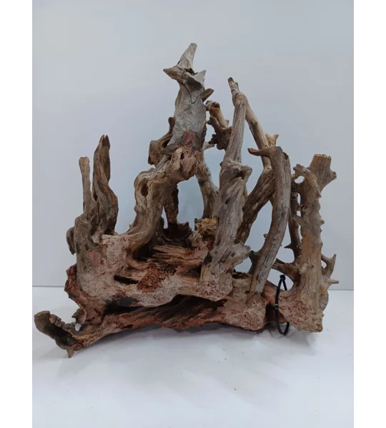Tortured Forest Scape A11