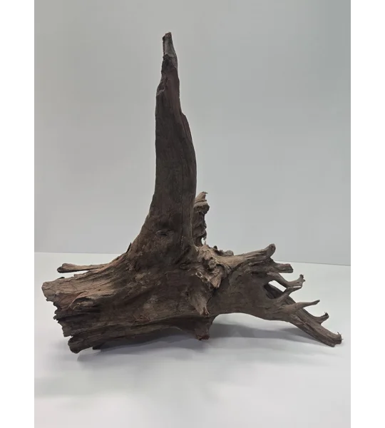 Corbo stump aquarium wood A10