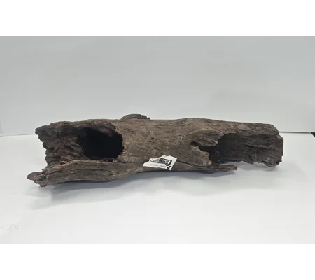 Hollow driftwood A12. 52cm by 13cm L X H