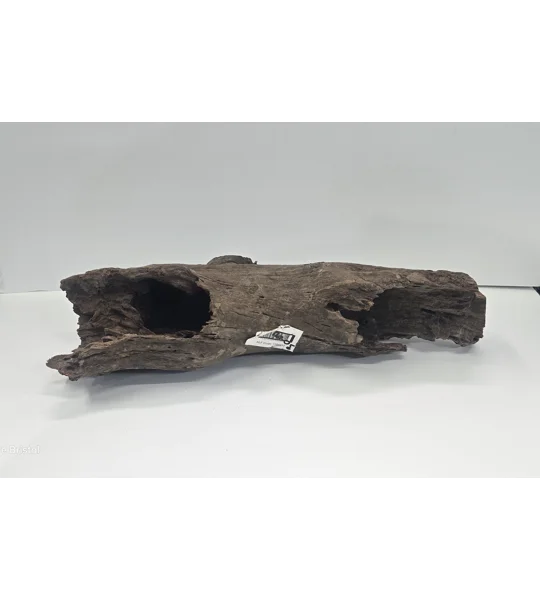 Hollow driftwood A12. 52cm by 13cm L X H