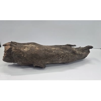 Hollow driftwood A12. 52cm by 13cm L X H