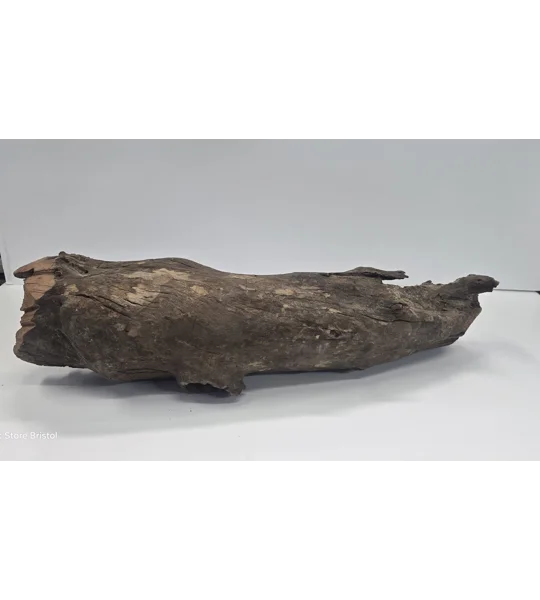Hollow driftwood A12. 52cm by 13cm L X H
