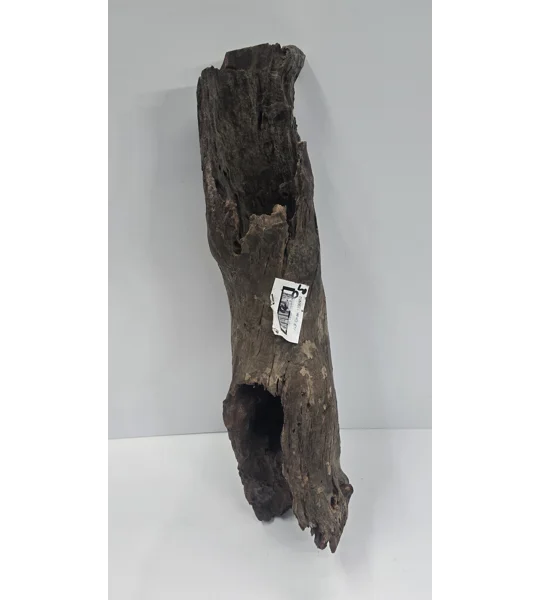 Hollow driftwood A12. 52cm by 13cm L X H