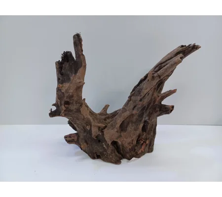 Corbo wood A19 21cm by 20cm L X H