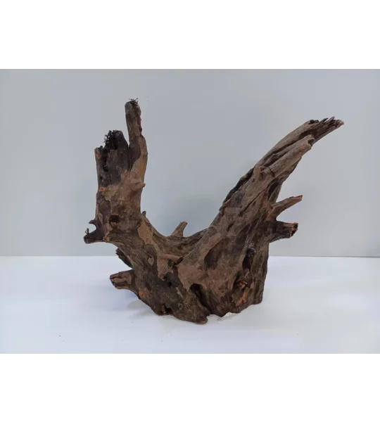 Corbo wood A19 21cm by 20cm L X H