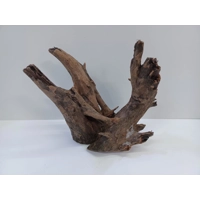 Corbo wood A19 21cm by 20cm L X H