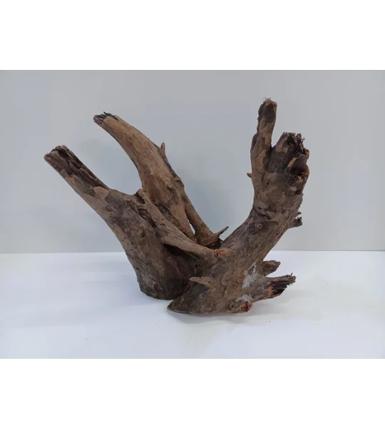 Corbo wood A19 21cm by 20cm L X H