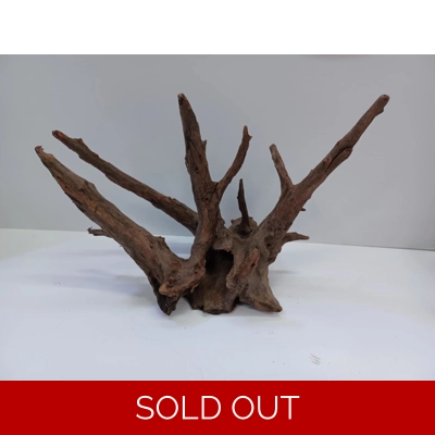 Corbo wood A21 33cm by 23cm L X H