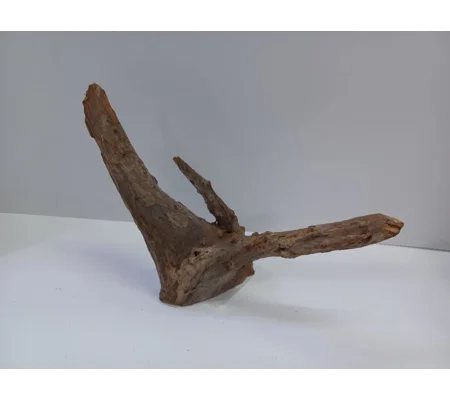 Corbo wood A22 31cm by 22cm L X H