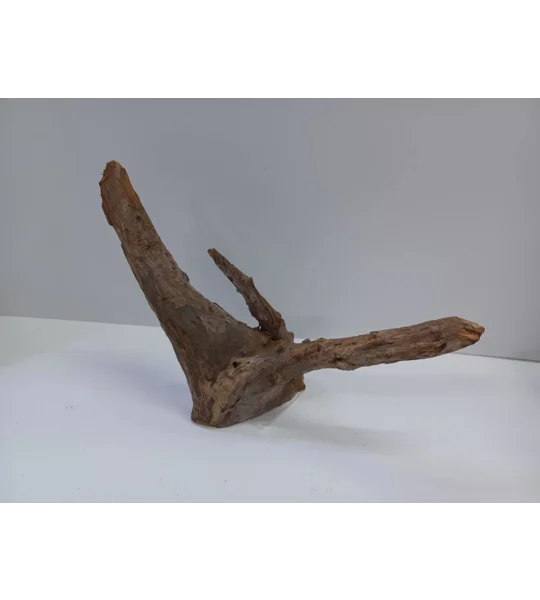 Corbo wood A22 31cm by 22cm L X H